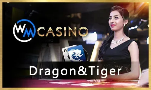 Online Poker Icon